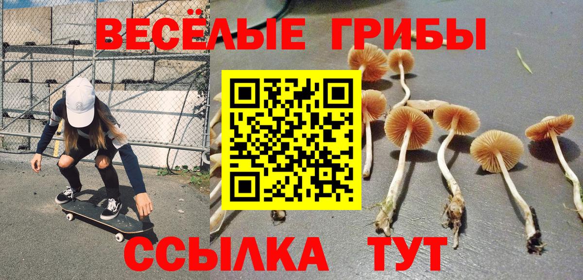 Галлюциногенные грибы Magic Shrooms  Вход с VPN  Кашира 